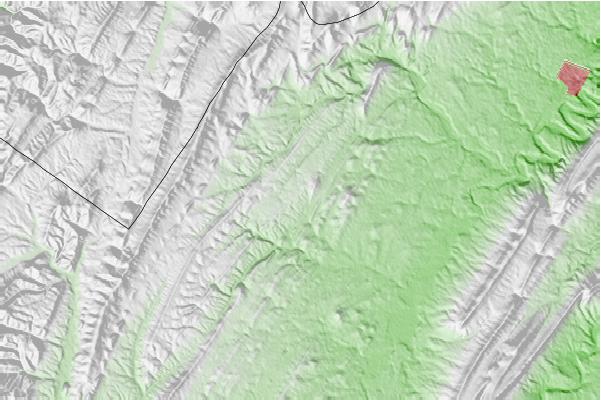 @{@location.name} neighbourhood basemap