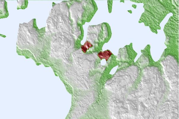@{@location.name} neighbourhood basemap