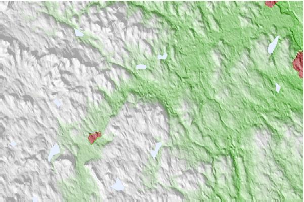 @{@location.name} neighbourhood basemap