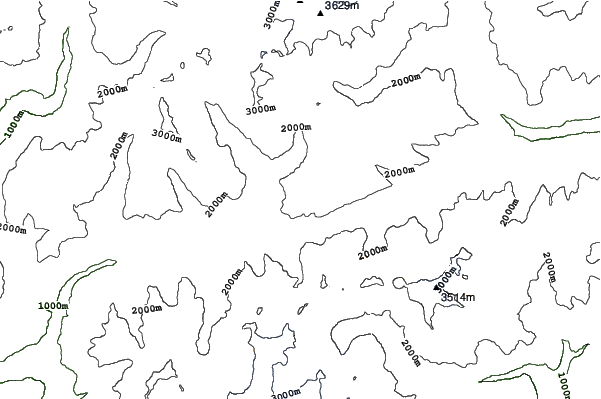 Presena Glacier neighbourhood contours
