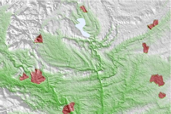 @{@location.name} neighbourhood basemap